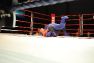 Superior MMA vol 2 © Konstantin Harin
