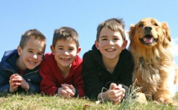 Германия лидирует по применению антибиотиков в животноводстве