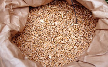 Фото из архива Rusverlag.de