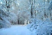 Видеокадр пользователя Elvin Elberson, YouTube