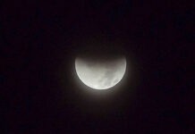 Фото: InSapphoWeTrust, Wikipedia.org