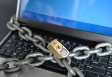Фото: © Horticulture - Fotolia