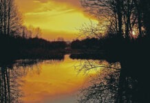 Фото: © Tomasz Kubis - Fotolia