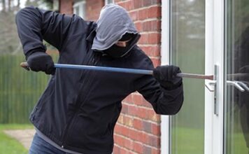 В Германии растёт организованная преступность