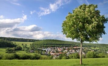 В Германии ожидается 33 градуса по Цельсию