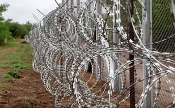 Германия поручила полиции заниматься беженцами