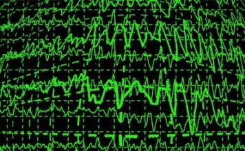 Землетрясение разбудило жителей Северного Рейна-Вестфалии