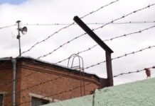 В Германии на шесть лет осудили школьницу-сторонницу ИГ