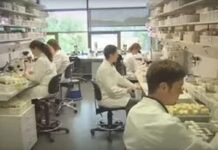 Полиция провела обыск в мюнхенском Институте Макса Планка