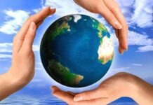 Гёте-институту вручат награду за экологический проект