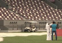 Немецкие политики сомневаются в возможности проведения чемпионата мира по футболу в Катаре