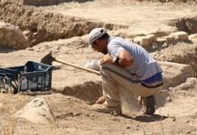 Сенсационное открытие немецких ученых: современный человек старше, чем считалось