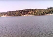 Немец совершит заплыв по реке Обь