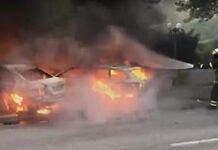 Политик из Германии выступила с предложением перестрелять всех участников погромов в Гамбурге