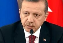 Эрдоган жалуется на немецких „агентов“