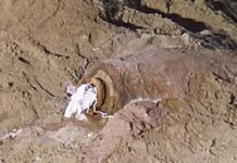 Рекордная эвакуация из-за обезвреживания бомбы во Франкфурте: 70 000 человек