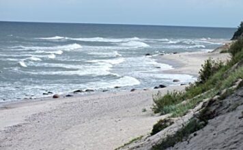 Потепление Балтийского моря – угроза для вылова сельди