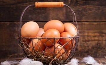 Aldi повышает цены на яйца