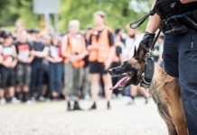 В Берлине полицейские собаки будут получать пенсию