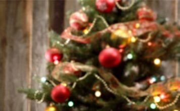 В Дельменхорсте пара украсила дом 55 000 лампочками