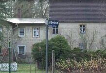 Деревню Alwine продали на аукционе