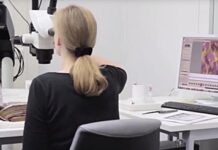 Баварская государственная библиотека: знаменитая карта Америки является подделкой