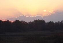 Ночи в Германии становятся светлее – кроме Тюрингии