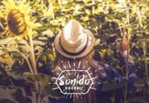 Крупный фестиваль электронной музыки пройдет в Германии