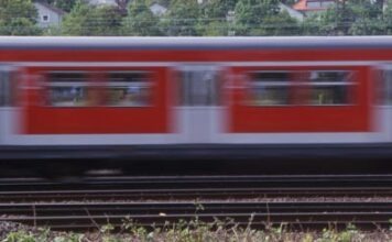 В Гессене региональный поезд наехал на стадо овец: погибло 21 животное
