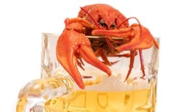 Проблема и деликатес: в Берлине раки могут оказаться на тарелке