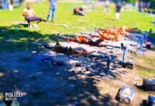 Полиция прекратила гриль-вылазку в берлинском парке: на гриле двенадцать овец