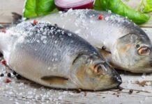 Балтийские рыбаки потеряли право на знак MSC для эко-рыбы