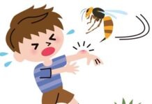 В Саксонии 15 детей пострадали при нападении крупных ос