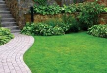 Города Гессена хотят ограничить распространение альпинариев