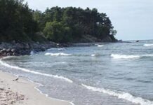 Бактерии стали причиной смерти женщины после её купания в Балтийском море