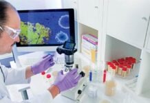 Впервые в Германии у человека обнаружена инфекция с вирусом Западного Нила