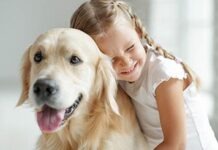 В Германии родился щенок золотистого ретривера с редким зеленым мехом