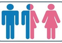 Первый туалет-унисекс в кампусе университета Рейн-Майн