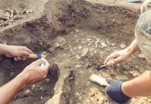 Прямохождение зародилось в европейской части Евразии – учёные