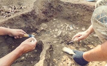 Прямохождение зародилось в европейской части Евразии – учёные