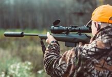 Охотники в Эльтвилле хотят получить разрешение на ночные прицелы: слишком много диких свиней