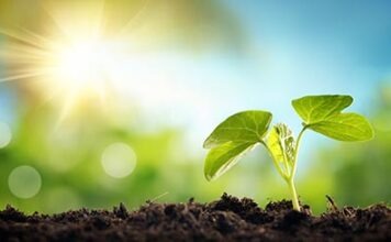 Качество воздуха в Германии улучшилось