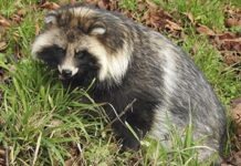 Дростен рассматривает новый источник коронавируса