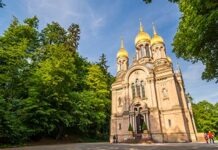 Деревья в Висбадене страдают от сухой погоды