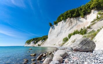 Опасность купания в Балтийском море может возрасти из-за вибрионов