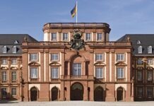 Начат опрос: насколько уверены в своей безопасности жители Мангейма?