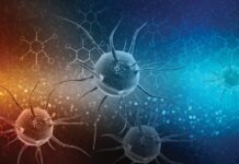 Электричество из бактерий