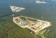 Где собака зарыта