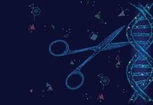 Революционная технология генетических ножниц