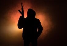 Теракт в Вене, новости и подробности